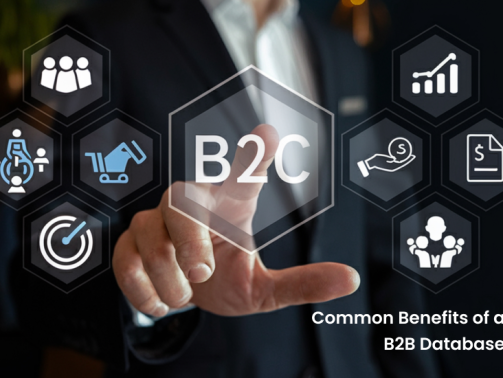 Build a B2B Database from Scratch-1