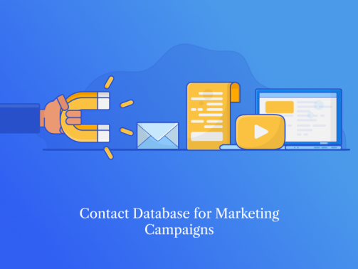 Build a B2B Database from Scratch (19)