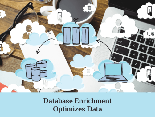 Database-Enrichment-Optimizes-Data (1)