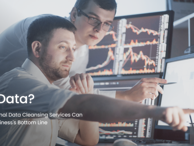 Dirty Data How Professional Data Cleansing Services Can Save Your Business's Bottom Line